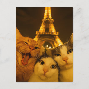 Paris Nacht Katze Selfie Squad Liebhaber Postkarte