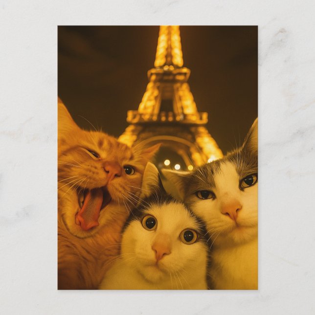 Paris Nacht Katze Selfie Squad Liebhaber           Postkarte (Vorderseite)