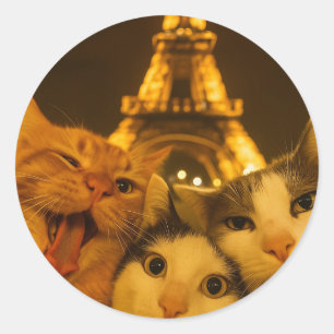 Paris Nacht Katze Selfie Squad Liebhaber Runder Aufkleber