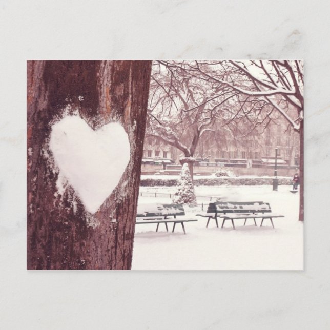 Paris, Stadt der Liebe (Gärten von Notre Dame) Postkarte (Vorderseite)