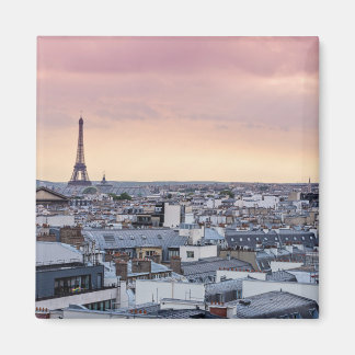 Paris Tour Eiffel La Vie En Rose Magnet