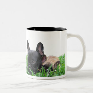 Paris und Monaco im Gras Zweifarbige Tasse