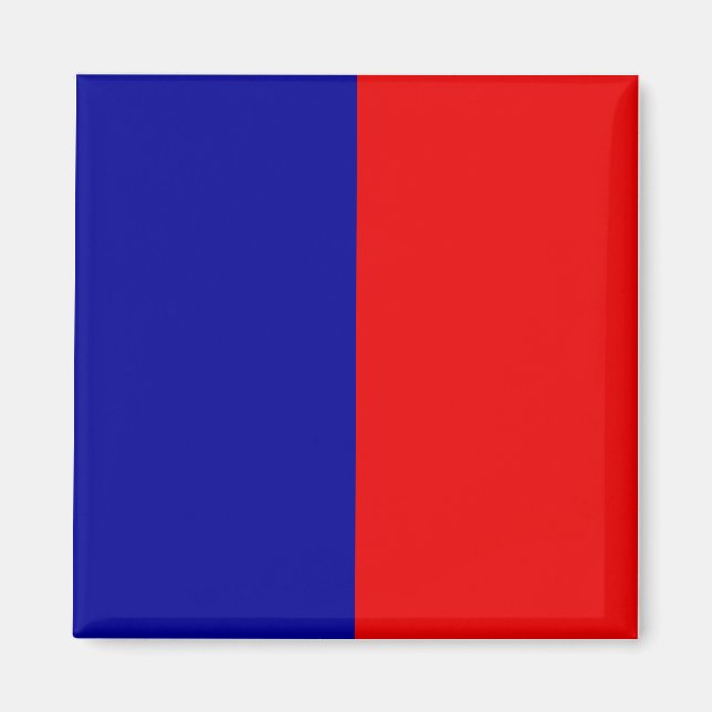 Pariser Flagge Magnet (Vorne)