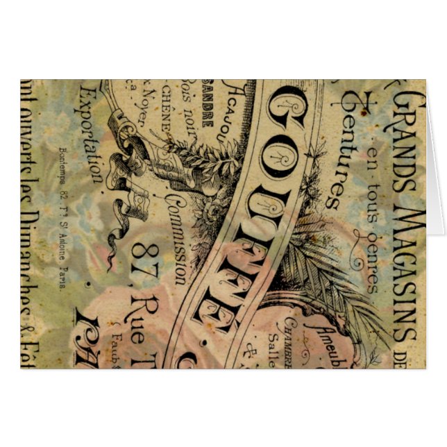 Pariser Rose (Vorderseite (Horizontal))