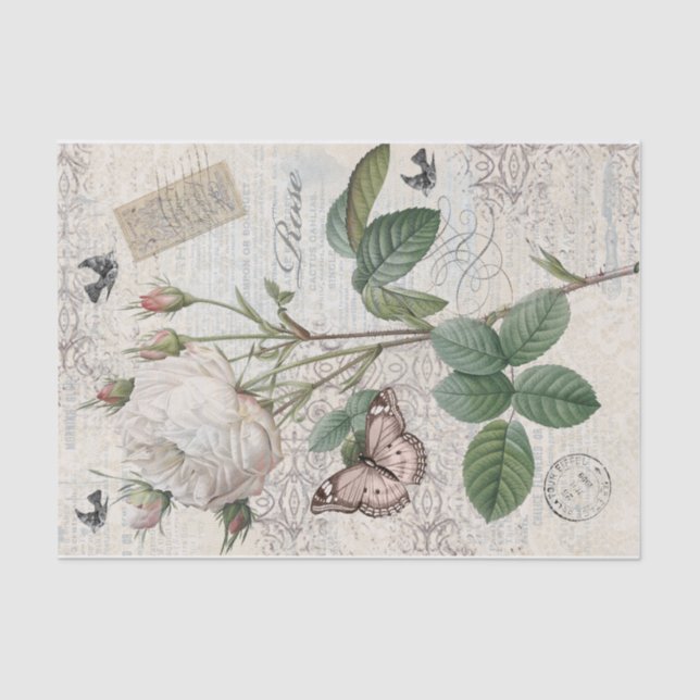 Pariser Rose Seidenpapier (Vorderseite)