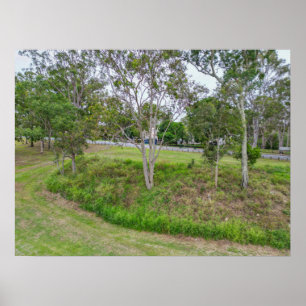 Park Bäume neben der Straßenseite Grüne Landschaft Poster