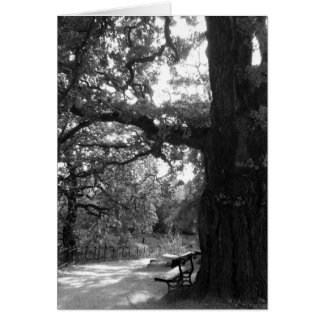 Park Bench