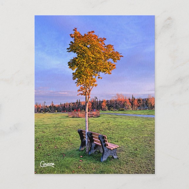 Park Bench Alaska - Postkarte (Vorderseite)