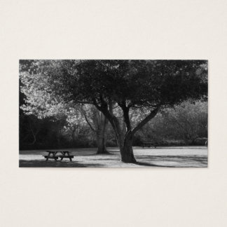 Park Bench and Tree Foto