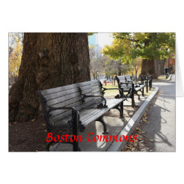 Park Bench, Boston Commons, Massachusetts