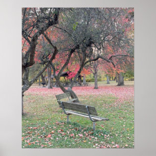 Park Bench im Herbstposter Poster