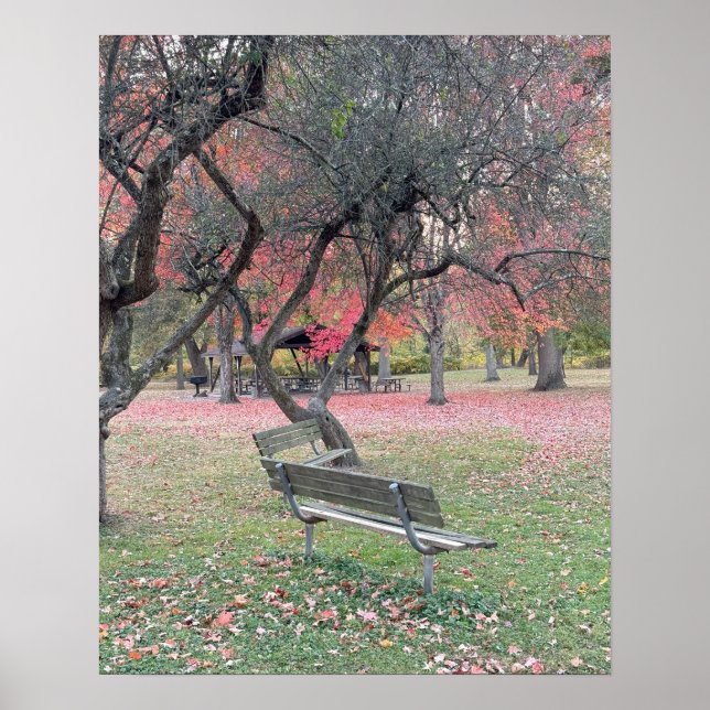 Park Bench im Herbstposter Poster (Vorne)