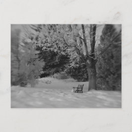 Park Bench im Winter Postkarte