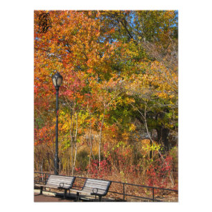 Park Bench und Herbstbänke Fotodruck