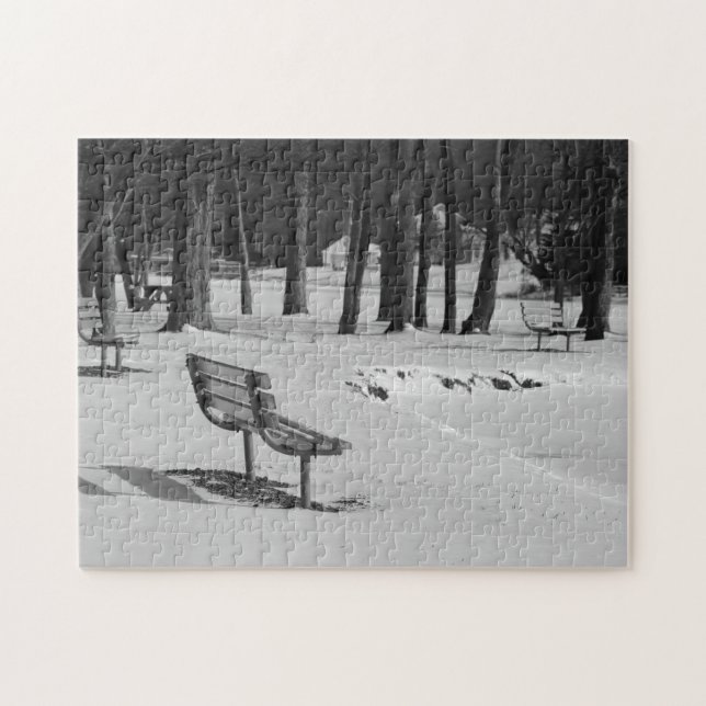 Park Benches Among a Mid Winters Scene Family Fun (Horizontal)
