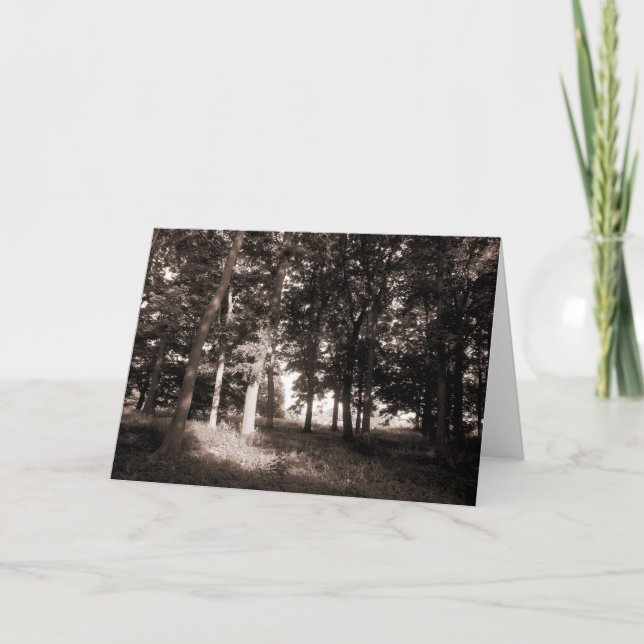 Park Bute, Cardiff II Karte (Vorderseite)