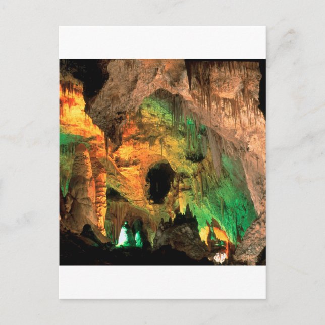 Park Carlsbad Caverns New Mexico Postkarte (Vorderseite)