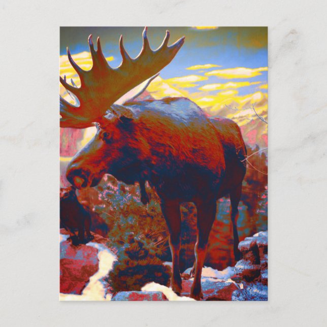 Park City Moose Souvenir Card Postkarte (Vorderseite)