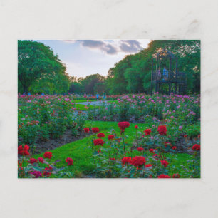 Park der Rose, Kolumbus, Ohio Postkarte
