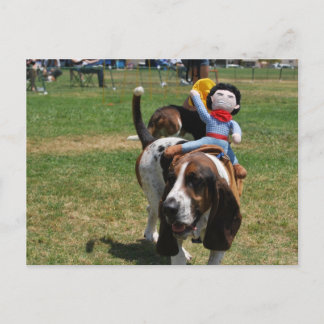 Park des Basset Hound Postkarte