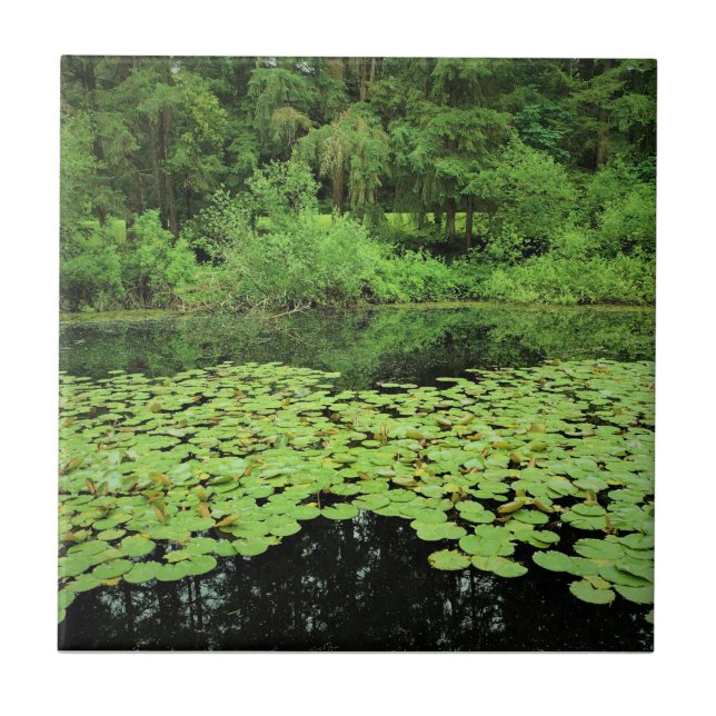 Park des Staat Molalla, Canby, Oregon Fliese (Vorderseite)