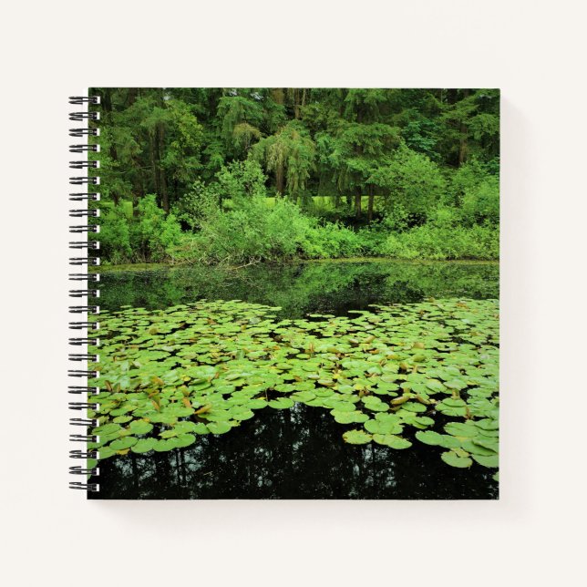 Park des Staat Molalla, Canby, Oregon Notizbuch (Vorderseite)