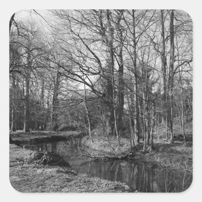 Park Landscape - Bute Park, Cardiff Quadratischer Aufkleber (Vorderseite)