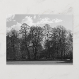 Park Landscape, Bute Park, Cardiff, Wales, UK Postkarte