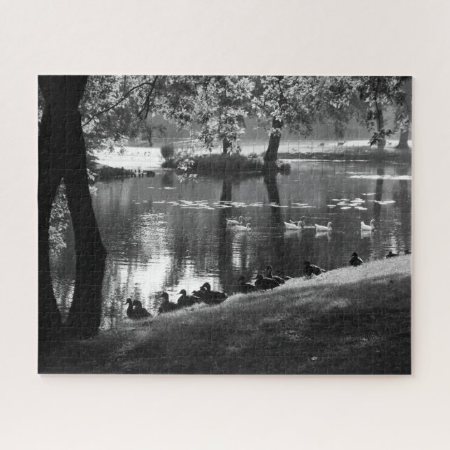 Park Life 16x20 520pc jpcna (Horizontal)