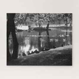 Park Life 16x20 520pc jpcnm