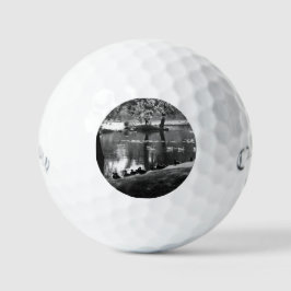 Park Life css gbcnm Golfball
