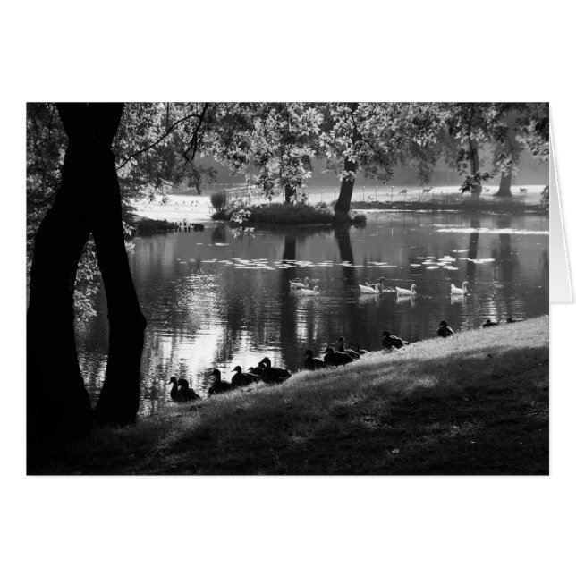 Park Life Gccn (Vorderseite (Horizontal))