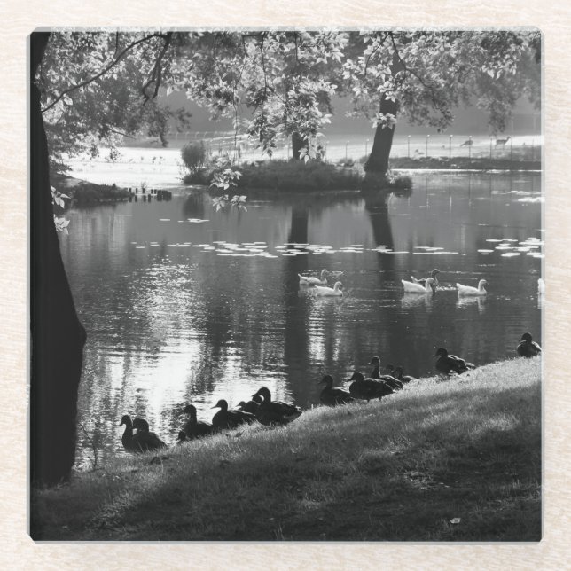 Park Life Küstenercnm Glasuntersetzer (Vorderseite)