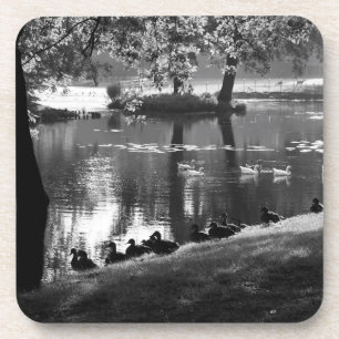 Park Life Küstenercure Getränkeuntersetzer