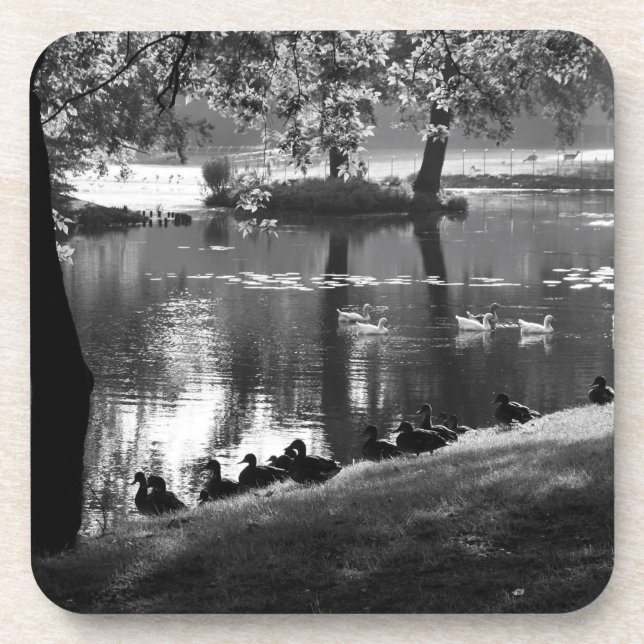 Park Life Küstenercure Getränkeuntersetzer (Vorderseite)