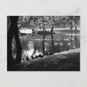 Park Life pccm Postkarte