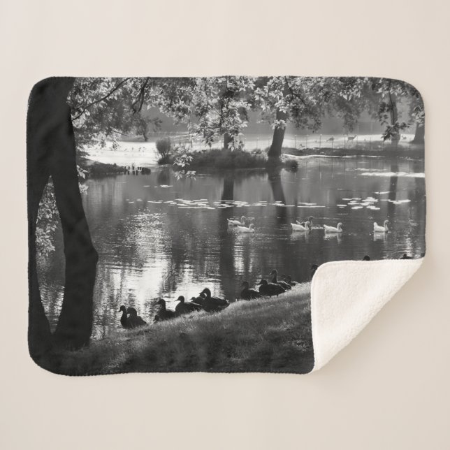 Park Life sbcna Sherpadecke (Vorderseite (Horizontal))