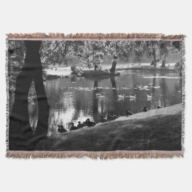 Park Life tbcna Decke (Vorderseite)