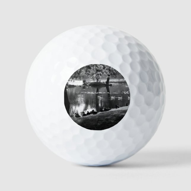 Park Life va gbcna Golfball (Vorderseite)