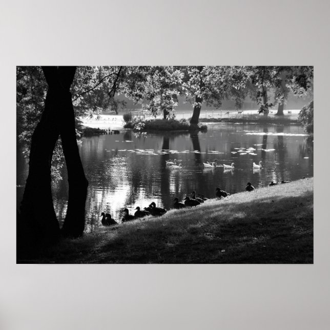Park Life wapa Poster (Vorne)