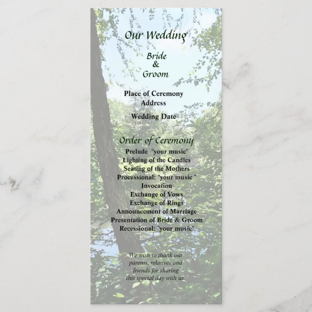 Park mit Brücke in der Ferne Hochzeitsprogramm Programm (Vorderseite)