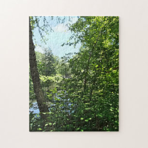 Park mit Brücke in Entfernung