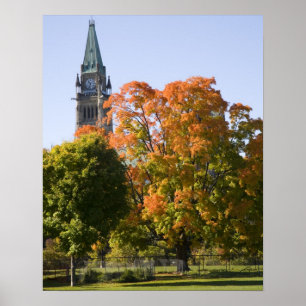 Park neben dem Gebäude des Parlaments in Ottawa, Poster