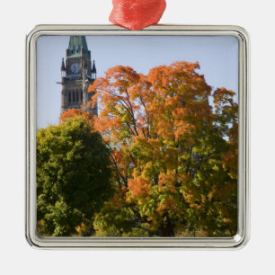 Park neben dem Parlamentsgebäude in Ottawa, Silbernes Ornament