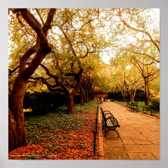 Park, NYC Central Park, Poster (Vorne)