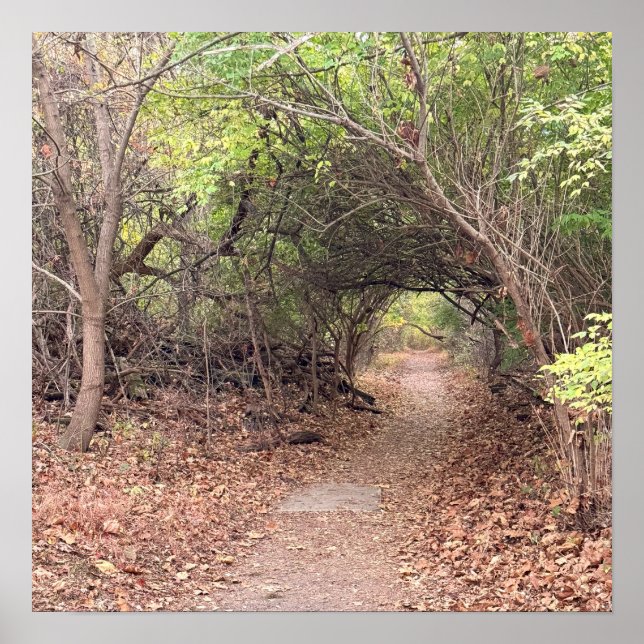 Park Path Poster (Vorne)