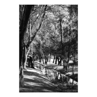 Park Stream B&W Photographie Imprimer