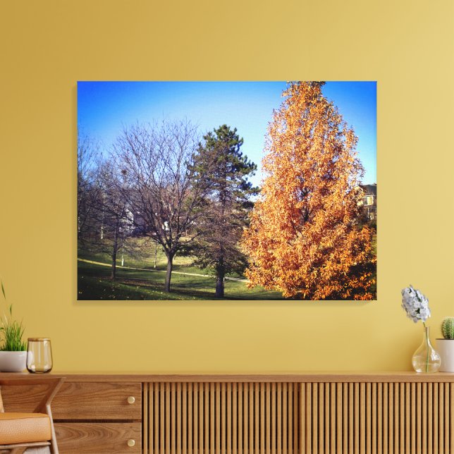Park Stretched Canvas Print Leinwanddruck (Insitu (Wohnzimmer))