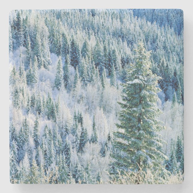 Park USA, Washington, Staat Mt. Spokane, Aspen Steinuntersetzer (Vorderseite)