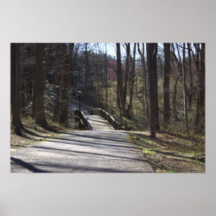 Park Walking Bridge Poster